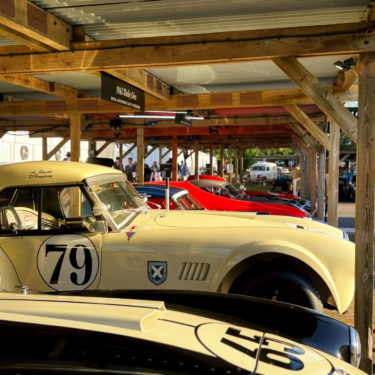 Cobra in waiting